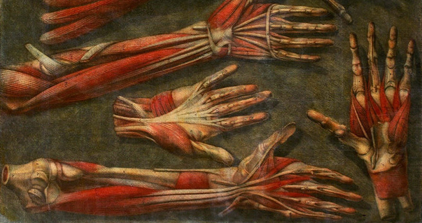 842x445